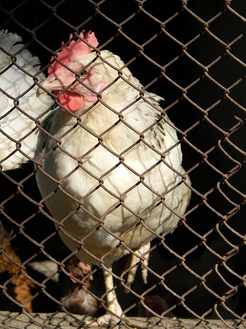 山东：“户外运动+”成为乡村振兴新动力.