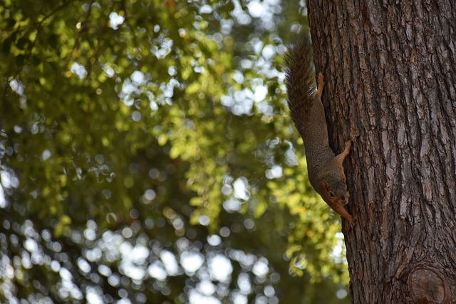 小因扎吉：为莫塔下课感到遗憾，他真的很优秀&很快会重返教练席.