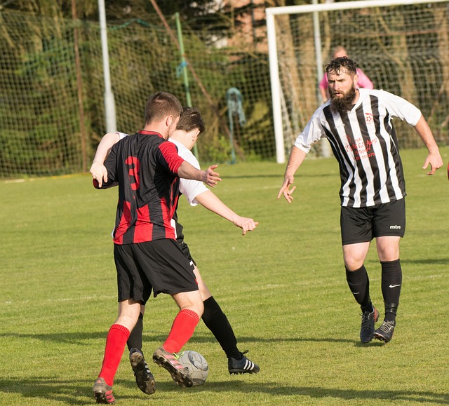 湖人季后赛 湖人季后赛