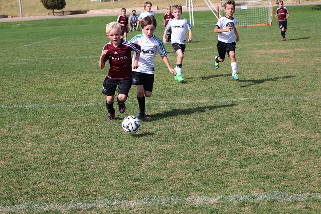 下面我们将 下面我们将