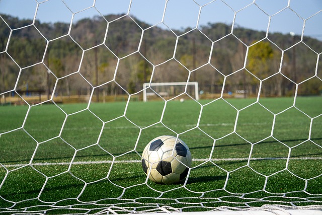 地利用他快 地利用他快