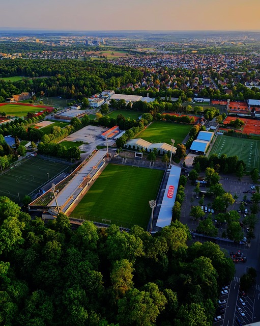 未来的几个 未来的几个